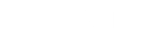 Logo soft-skills